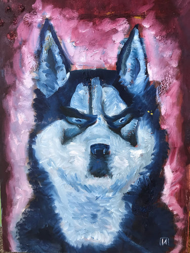 Blue husky, oil on canvas