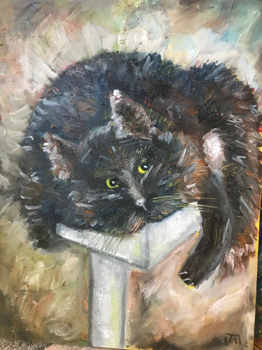 Resting cat, oil on canvas