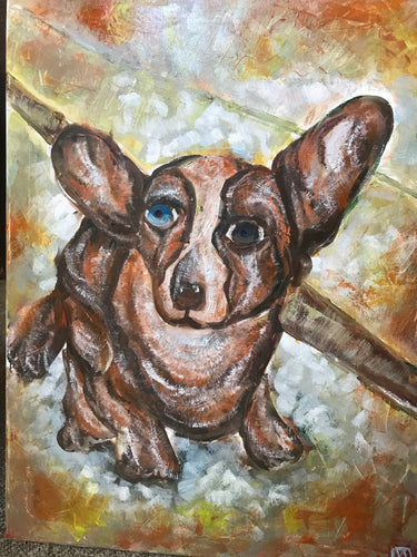 Dog with blue eye, oil on canvas