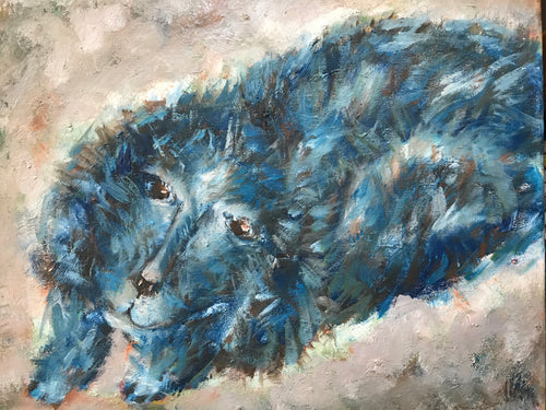 Shaggy blue dog, oil on canvas