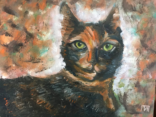 Bright cat, oil canvas