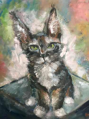 Happy kitten , oil on canvas