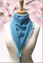 Load image into Gallery viewer, Felted Bactus Light Blue Color